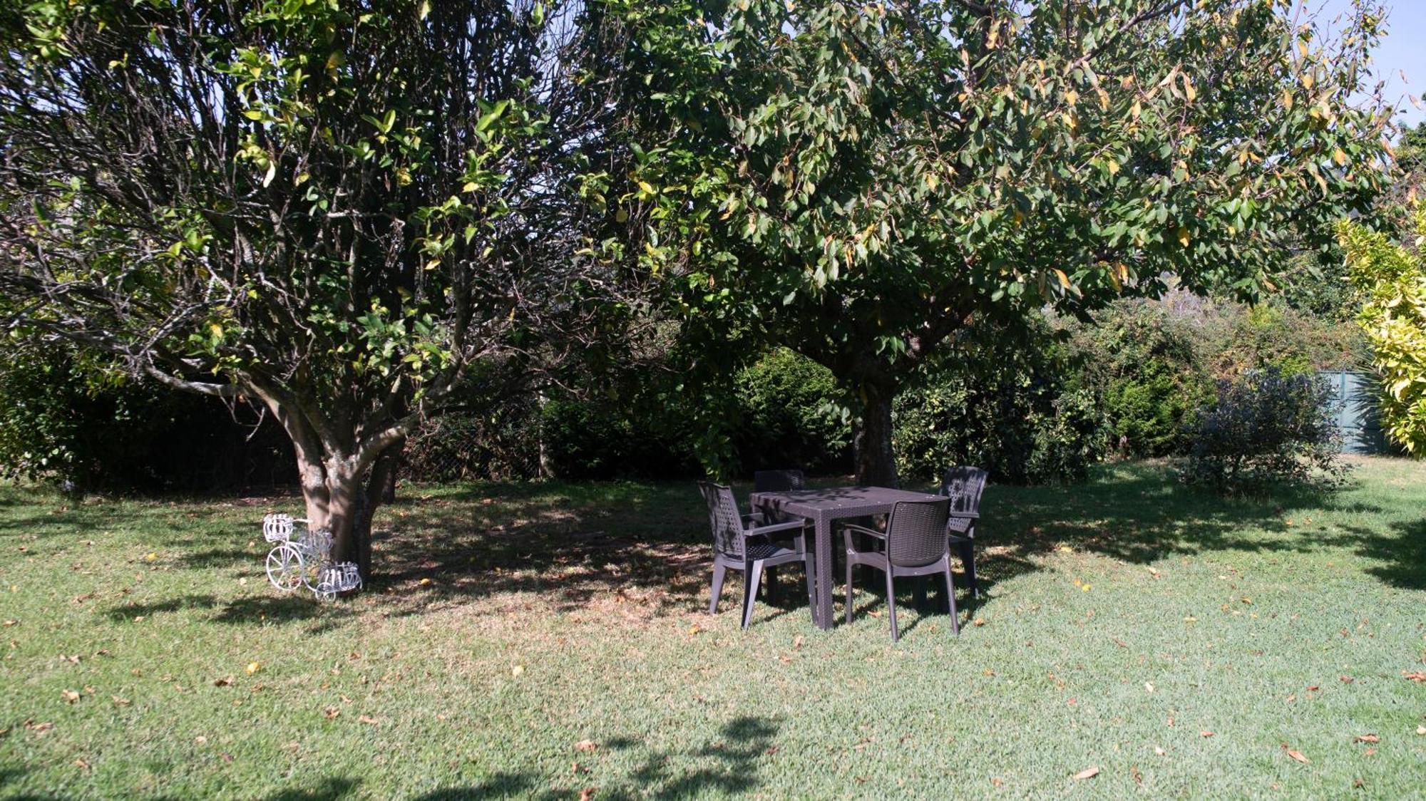 Apartamentos Rias Baixas Моанья Екстер'єр фото
